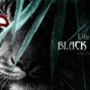 Life of Black Tiger - Il trailer di gioco