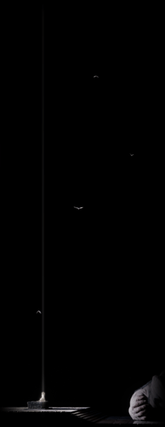 Fumito Ueda ha pubblicato una misteriosa immagine dedicata al suo prossimo progetto Fumito Ueda ha pubblicato una misteriosa immagine dedicata al suo prossimo progetto
