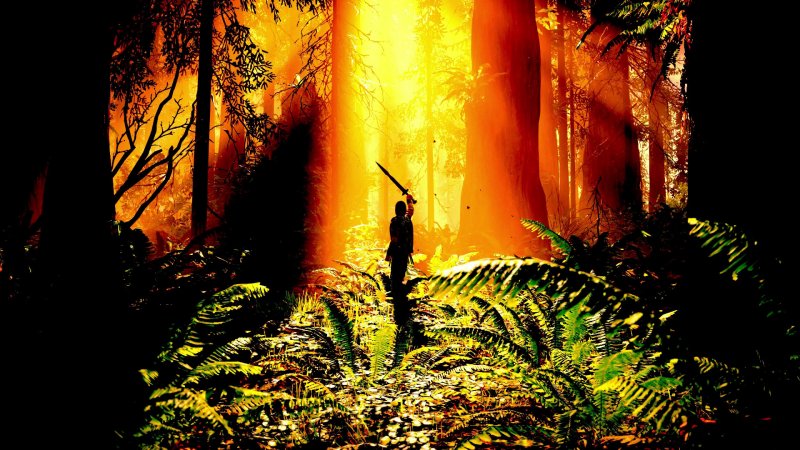 Shadow of the Colossus per PlayStation 4 avrà una modalità foto Shadow of the Colossus per PlayStation 4 avrà una modalità foto