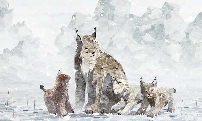 Shelter Generations, la famiglia di linci protagonista della storia Shelter Generations, la famiglia di linci protagonista della storia