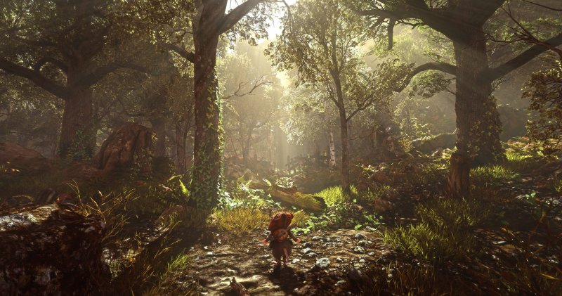 Ghost of a Tale, an image from the game