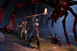 The Elder Scrolls Online: Summerset è disponibile da oggi in accesso anticipato su PC - Notizia
