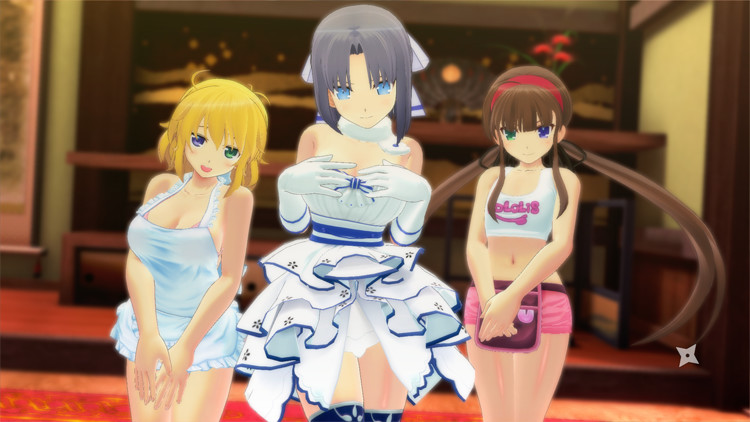 Immagine di Senran Kagura Burst Re:Newal per PlayStation 4