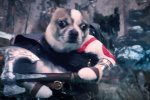 Dog of War disponibile da oggi... aspettate, c'è qualcosa che non quadra - Notizia