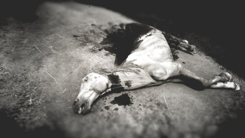 Kingdom Come: Deliverance: lanciata la modalità hardcore, nuovo trailer per “From The Ashes” Kingdom Come: Deliverance: lanciata la modalità hardcore, nuovo trailer per “From The Ashes”