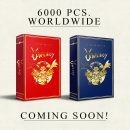 Owlboy: ecco le eleganti edizioni limitate in formato fisico