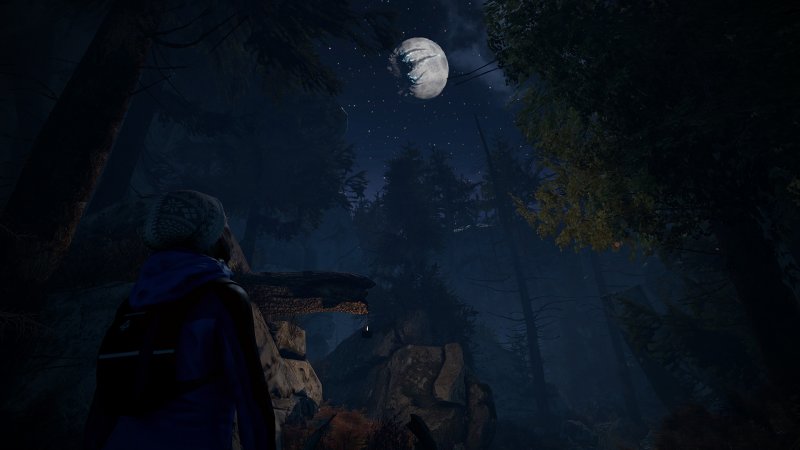 Immagine di Through the Woods per PlayStation 4