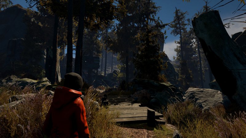 Immagine di Through the Woods per PlayStation 4