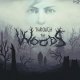 Through the Woods è un nuovo horror ad ambientazione nordica in arrivo su PlayStation 4 e Xbox One
