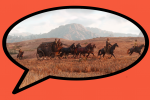 Red Dead Redemption 2: un mondo vivo e scelte che contano sembrano essere i nuovi elementi principali - Notizia