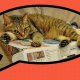 Nintendo Labo: già tempo di riciclare il cartone? I primi dati di vendita non sono molto positivi