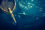Seas of Thieves: disponibile l'espansione The Hungering Deep - Notizia