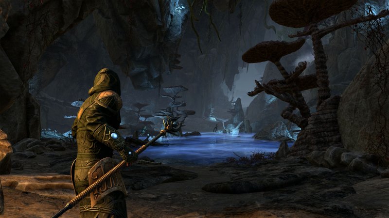Immagine di The Elder Scrolls Online: Summerset per PlayStation 4