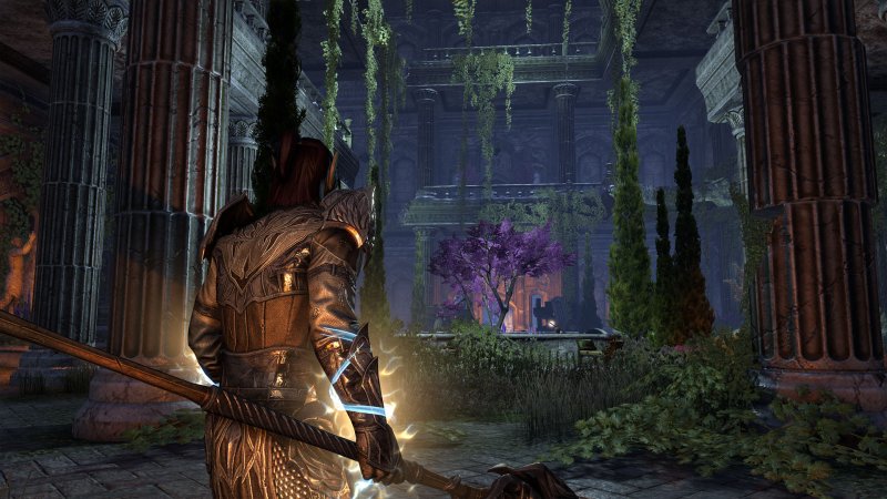 Immagine di The Elder Scrolls Online: Summerset per PlayStation 4