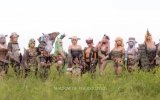 Sedici ragazze celebrano Shadow of the Colossus con alcuni provocanti cosplay - Notizia