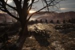 Epic Games Store, al PC Gaming Show annunciata l'esclusiva di Twin Mirror e altri giochi - Notizia
