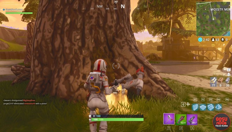 Fortnite Forzieri Putrido Pantano 5