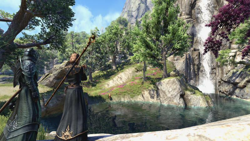 Immagine di The Elder Scrolls Online: Summerset per PlayStation 4