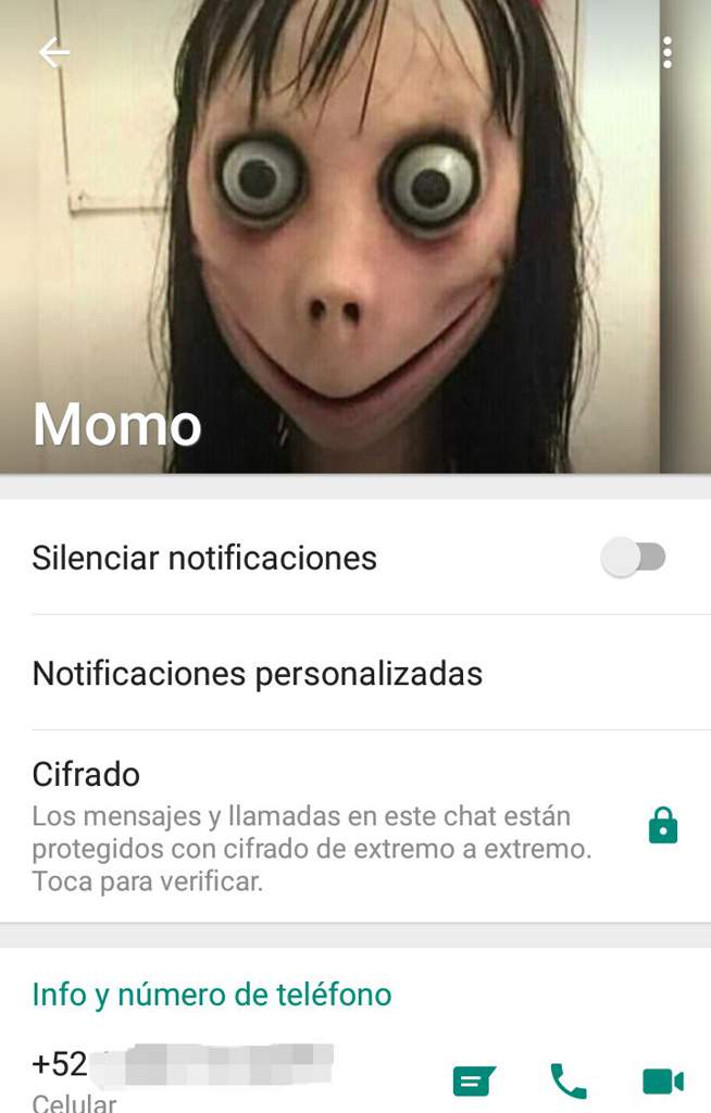 Momo Whatsapp