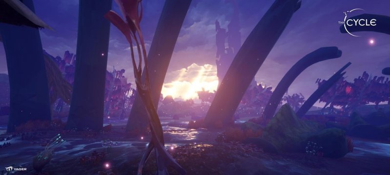 Immagine di The Cycle per PC Windows