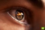 Battlefield 5, il trailer della tecnologia NVIDIA RTX - Video