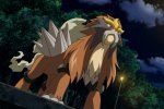 Pokémon GO: Entei, Raikou e Suicune Shiny come ricompensa delle sfide globali? - Notizia