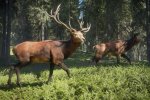 Due giochi di PS Plus Extra dispongono di DLC gratuiti da scaricare a parte, ecco quali sono - Notizia