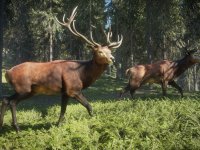 Due giochi di PS Plus Extra dispongono di DLC gratuiti da scaricare a parte, ecco quali sono