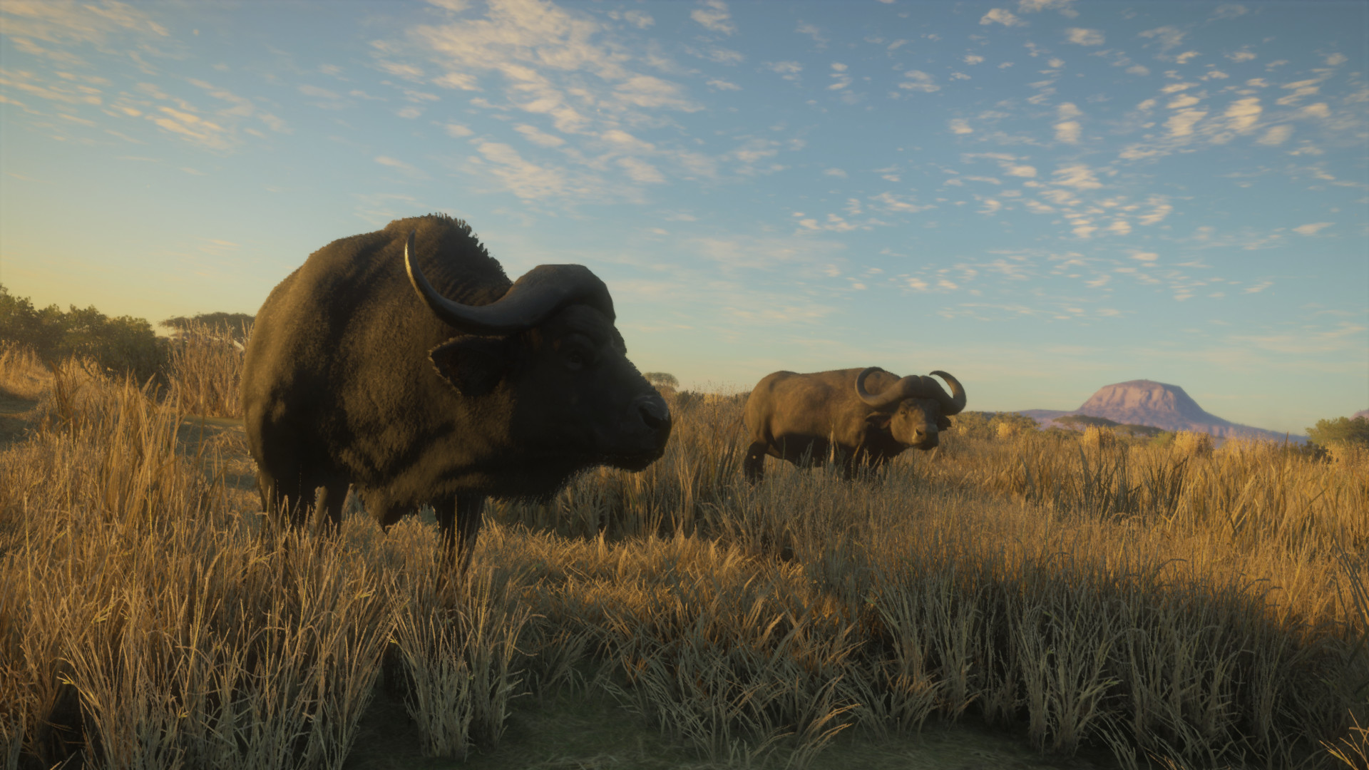The Hunter Call Of The Wild Multiplayer