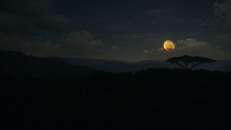 theHunter: Call of the Wild