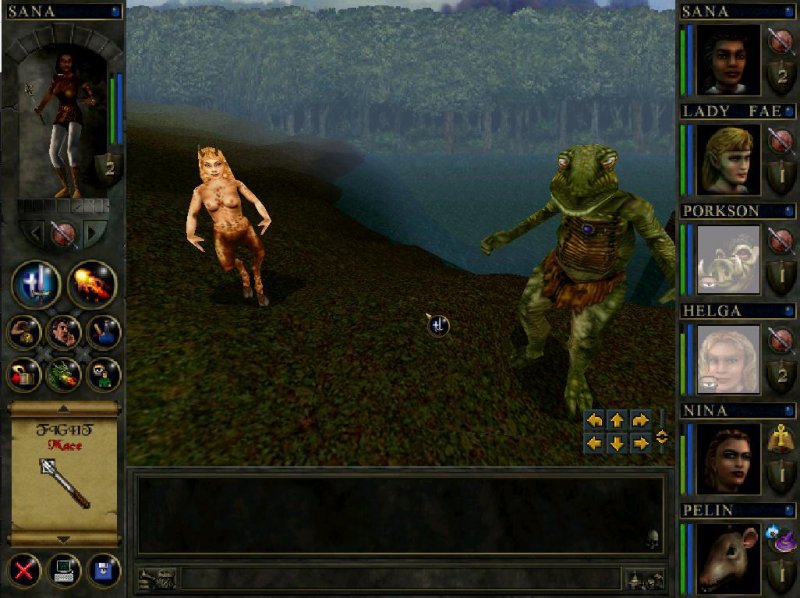 Wizards And Warriors