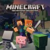 Minecraft per New Nintendo 3DS