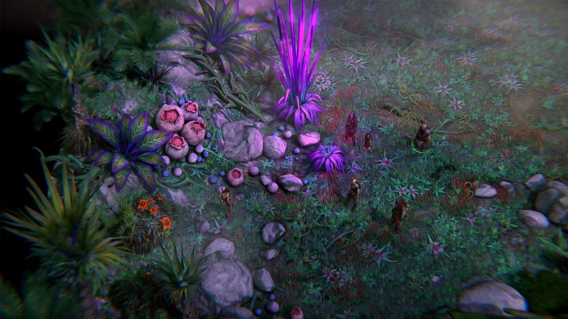 Immagine di Pathfinder: Kingmaker per PC Windows