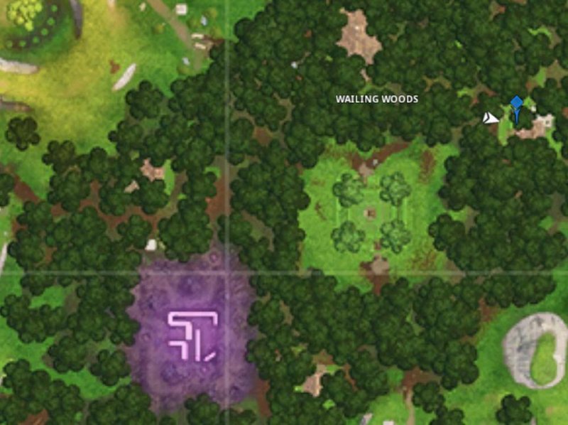 Fortnite Stella Segreta Settimana 3 Stagione 6 Posizione