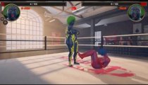 Naked Fighter 3D - Gameplay