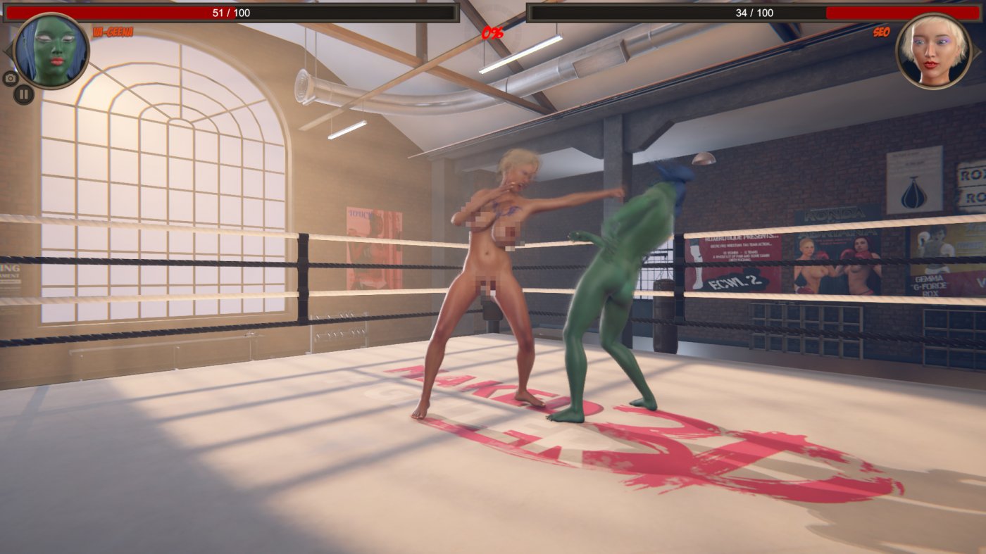Naked Fighter 3D.