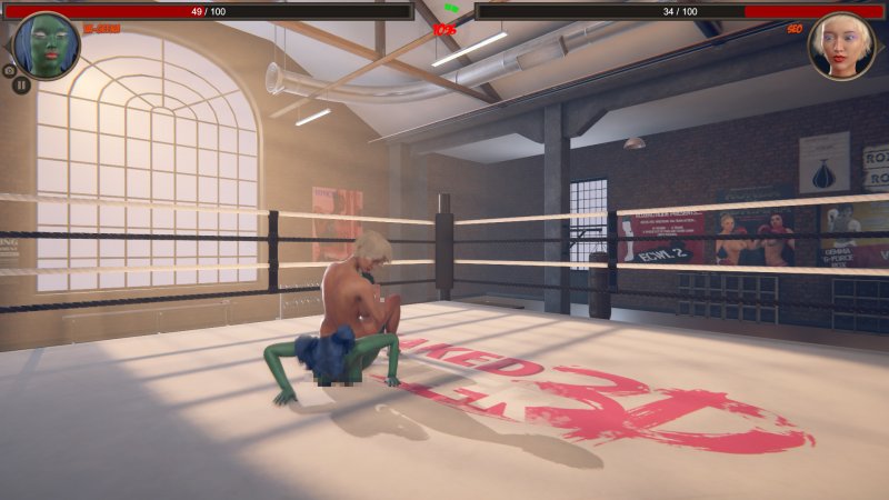 Naked Fighter 3D