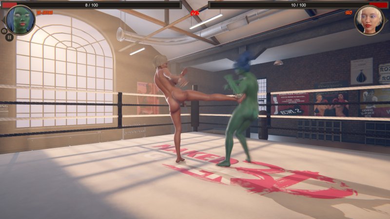 Naked Fighter 3D