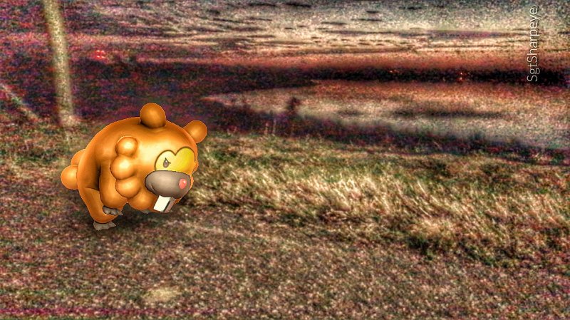 Bidoof Pokemon Go Meme 2