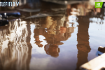 Battlefield 5 su PC a 4K e 60 fps con ray tracing in tempo reale - Video