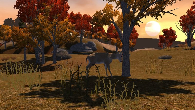 Cabela's: The Hunt - Championship Edition