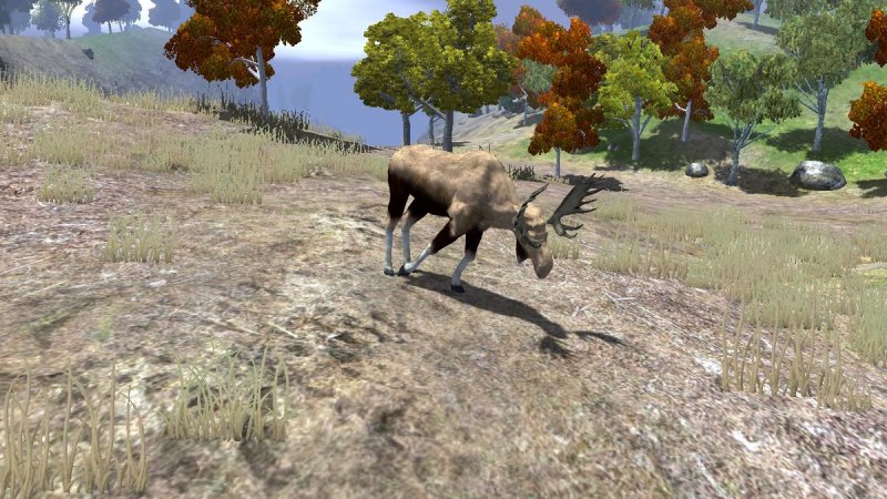 Cabela's: The Hunt - Championship Edition