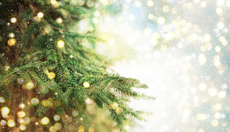 Christmas Tree Image