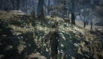 Dragon's Dogma: Dark Arisen - Trailer di annuncio della versione Nintendo Switch