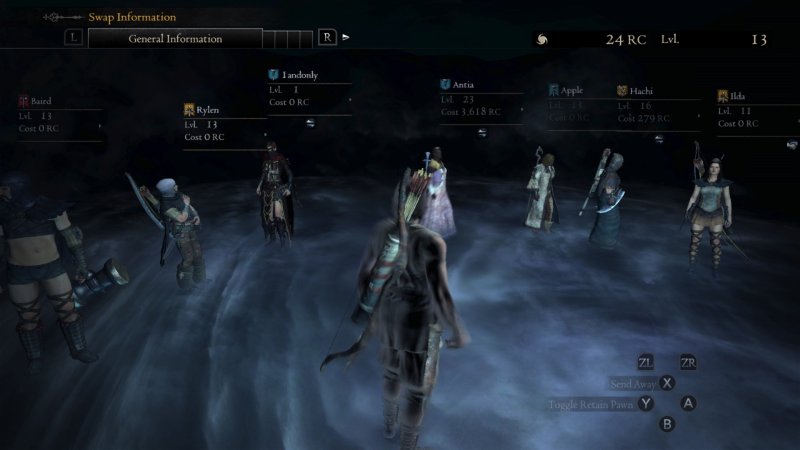Dragon's Dogma: Pawn is a great system, but it can be developed in many ways