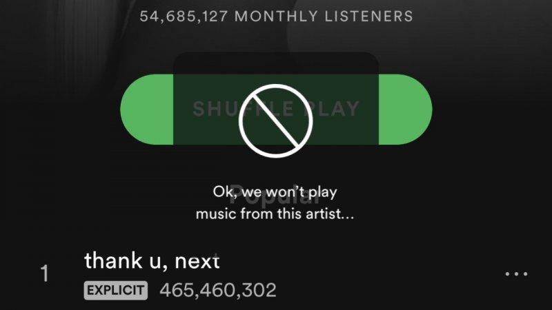 Spotify Bloccare Artisti 1