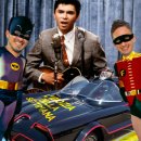 Balliamo la Bamba nell'Idiozia della Settimana
