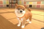 Little Friends: Dogs & Cats, un clone di Nintendogs + cats per Nintendo Switch - Notizia