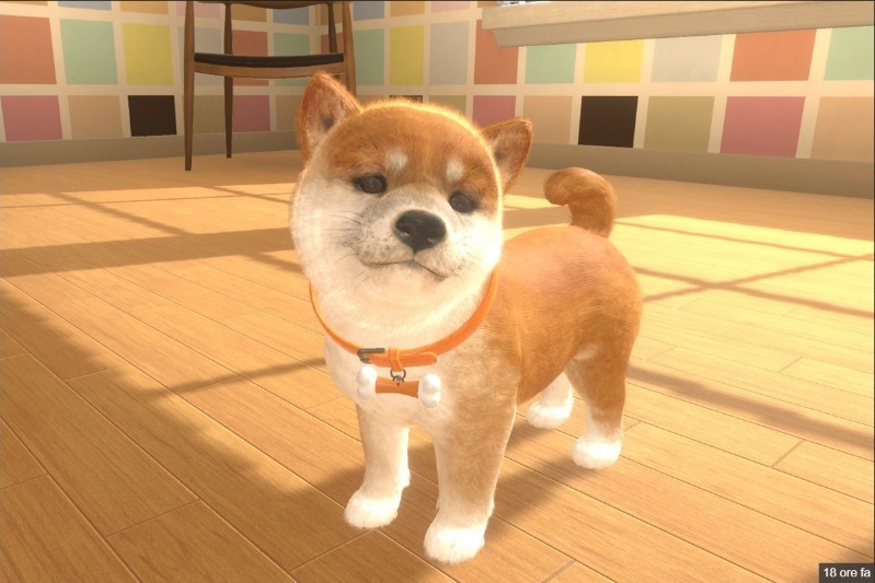 Little Friends Dogs Cats