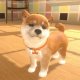 Little Friends: Dogs & Cats, un clone di Nintendogs + cats per Nintendo Switch